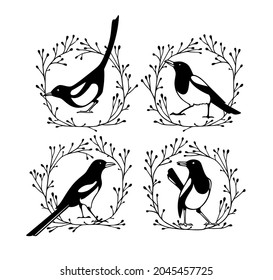 Vector graphic set of hand drawn cute Magpies in black floral wreath. Ink drawing, graphic style. Beautiful animal illustration, branding and logo design elements.