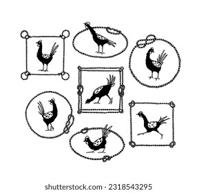 Vector graphic set of hand drawn cute proud chickens in nautical rope frames. Beautiful ink drawing, heavy contour, graphic style. Perfect elements for food or farming logo design.