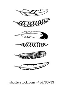 Vector graphic set of hand drawn feathers. Beautiful ethnic design elements.