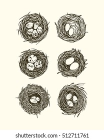 Vector graphic set of hand drawn bird nests with eggs. Graphic style, beautiful illustration