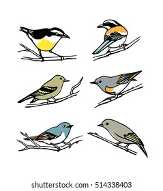 Vector graphic set of hand drawn North America birds sitting on branches. Ink drawing, graphic style.