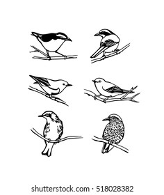 Vector graphic set of hand drawn North America birds sitting on branches. Ink drawing, graphic style.
