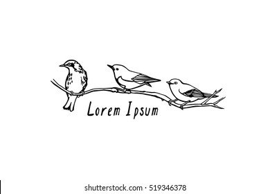 Vector graphic set of hand drawn North America birds sitting on a branch. Ink drawing, graphic style.