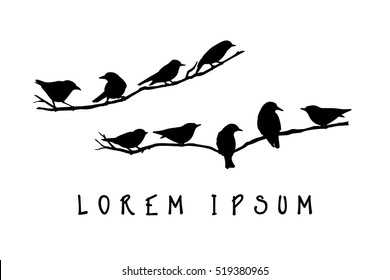 Vector graphic set of hand drawn North America birds sitting on a branch. Ink drawing, graphic style.