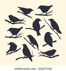 Vector graphic set of hand drawn birds sitting on branches. Dark silhouettes on light background.