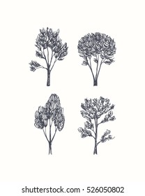 Vector graphic set of hand drawn trees made in graphic style. Beautiful ink drawing