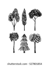 Vector graphic set of hand drawn trees made in graphic style. Beautiful ink drawing