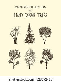 Vector graphic set of hand drawn trees made in graphic style. Beautiful ink drawing