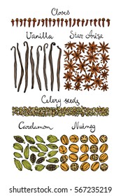 Vector graphic set of hand drawn spices - nutmeg, star anise, cloves, cumin, vanilla pods and cardamom seeds. Beautiful food design elements, perfect for any business related to the food industry.