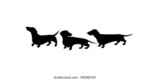 Vector graphic set of hand drawn dachshund silhouettes. Beautiful design elements