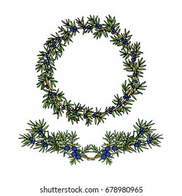 Vector graphic set of hand drawn juniper wreath and laurel. Beautiful floral design elements.