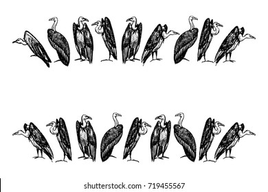 Vector graphic set of hand drawn creepy and comic vultures borders. Charcoal drawing, beautiful Halloween design elements.