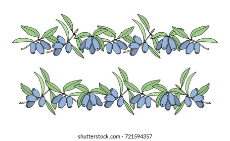 Vector graphic set of hand drawn honeysuckle twigs. Beautiful floral design elements, ink drawing