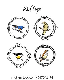 Vector graphic set of hand drawn round frames with birds. Beautiful design elements, ink drawing, bird logo templates