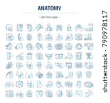Vector graphic set. Icons in flat, contour, thin, minimal and linear design. Science of anatomy. Study and structure of human internal organs. Concept illustration for Web site. Sign, symbol, element.