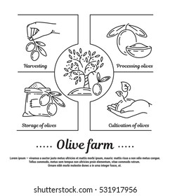 Vector graphic set of icons in flat, contour, thin and linear design. Olive grove, technology of cultivation and storage of olives.Concept infographic for Web site, app. Sign, symbol, emblem.