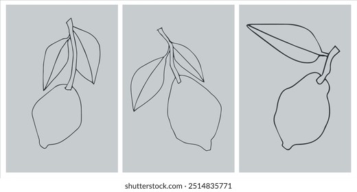 Vector graphic set with lemon, tangerine, orange. Decor printable art. Contemporary design for prints, posters, stationery, logos, branding, invitations social media posts