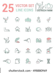 Vector graphic set. Silhouette, logo, icon. ostrich farm, ostrich eggs. Linear, flat, contour, thin design. App, Web site template, infographic.