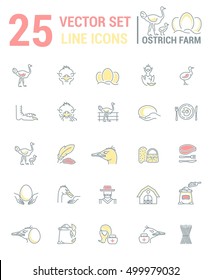 Vector graphic set. Silhouette, logo, icon. Ostrich farm, ostrich eggs. Linear, flat, contour, thin design. App, Web site template, infographic.