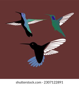 Vector graphic of set of three detailed hummingbird silhouettes isolated on brown. This vector hummingbird is perfect for background,company logo,wallpaper,decoration,collection and mascot etc.