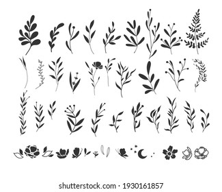 Vector graphic set of twigs and sprigs. Hand drawn silhouette plants