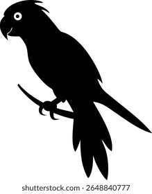 Vector graphic showing a silhouette of a parrot perched on a branch. The vector is in black on a white background. Ideal for illustrations and design projects.