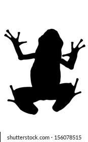 Vector Graphic Silhouette Of An Azure Poison Dart Frog.