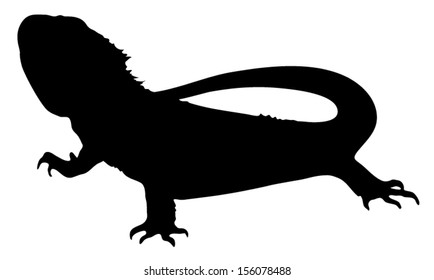 Vector graphic silhouette of a bearded dragon.