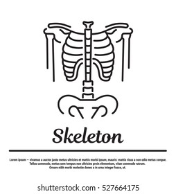 Vector graphic silhouette of the human skeleton. Concept for the web site, app, online page. Human bones in a flat, linear, contour, thin design. Infographic, template, and pictogram.