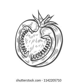 Vector graphic sketch with tomato halfs isolated on white background. Vintage hand drawn illustration of fresh vegetable cut in half longitudinal section in engraving style.