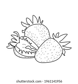 vector graphic of strawberry sketch. strawberry line icon. strawbery fruit.