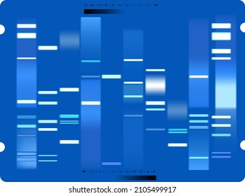 Vector graphic template of blue hues monochromatic big genomic data visualization, DNA test and genome map sequence.