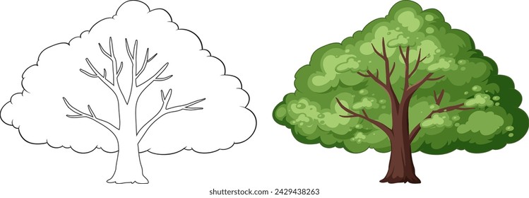 Vector graphic of a tree in two seasons