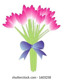 Vector Graphic, tulip