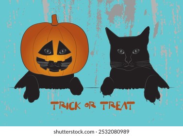 Vector graphic of two black cats, one cat with pumpkin placed on it's head on gray grunge background and text Trick or Treat