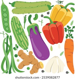 vector graphic various kinds of vegetable pack