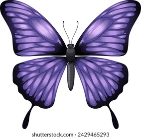 Vector graphic of a vibrant purple butterfly