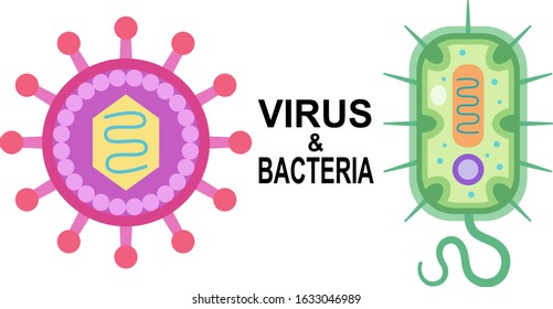 Vector graphic of virus and bacteria.