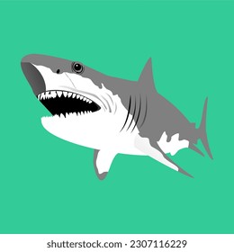 Vector graphic of white shark teeth illustration.This vector shark is perfect for background,illustration,sticker,decoration,mascot and t-shirt design etc.