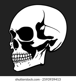 A Vector graphic of a white skull with black detailing.