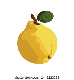 Vector Graphic of a Yellow Quince Fruit