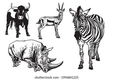 Vector graphical set of African animals isolated,savanna habitants