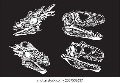 Vector graphical set of skulls of pachycephalosaurus and tyrannosaurus on black, graphical illustration