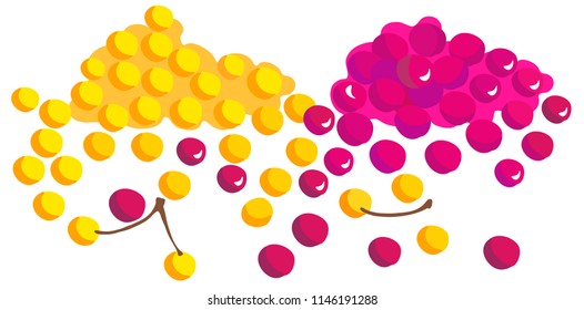 Сherry vector graphics