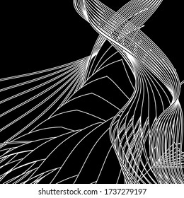 gráficos vectoriales, abstracción de líneas, fondo