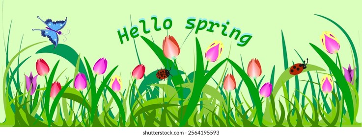 Vector graphics. The arrival of spring. Bright blooming tulips in the grass, ladybugs sitting on green leaves, a butterfly flying.