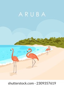 Vector graphics of Aruba, Caribbean. Design for travel poster, postcard, banner, travel guide cover. Tropics, flamingos. Tropical island.