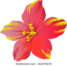 vector graphics of a beautiful blossoming flower