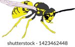 vector graphics beautiful and dangerous bee , wasp, insect