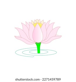 Vector graphics of a beautiful lotus flower illustration great for background, cover wallpaper and educational information and advertising etc